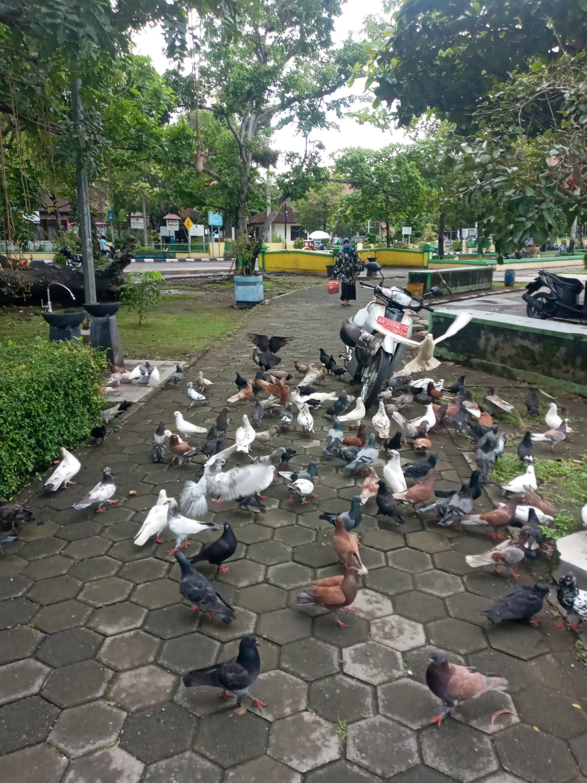 Konten Berita